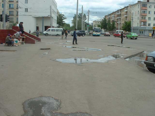 pabeda2.jpg