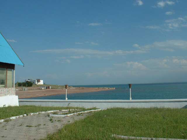  ȣ ٶ  